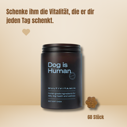 Dog is Human / Multivitamin