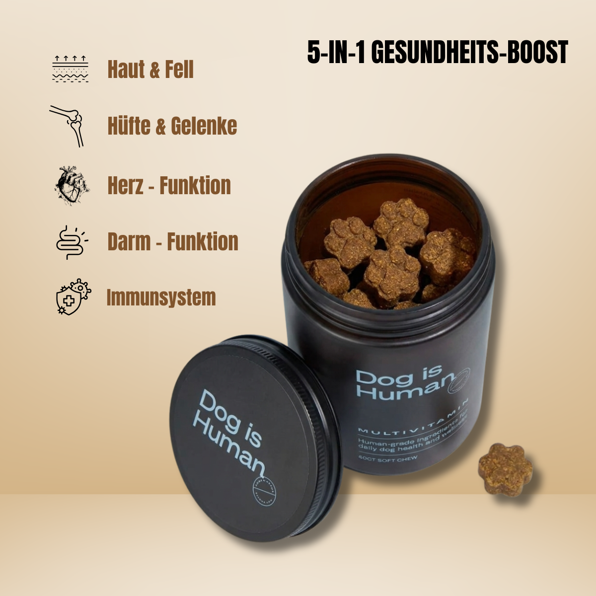 Dog is Human / Multivitamin