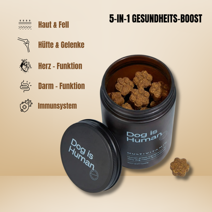 Dog is Human / Multivitamin