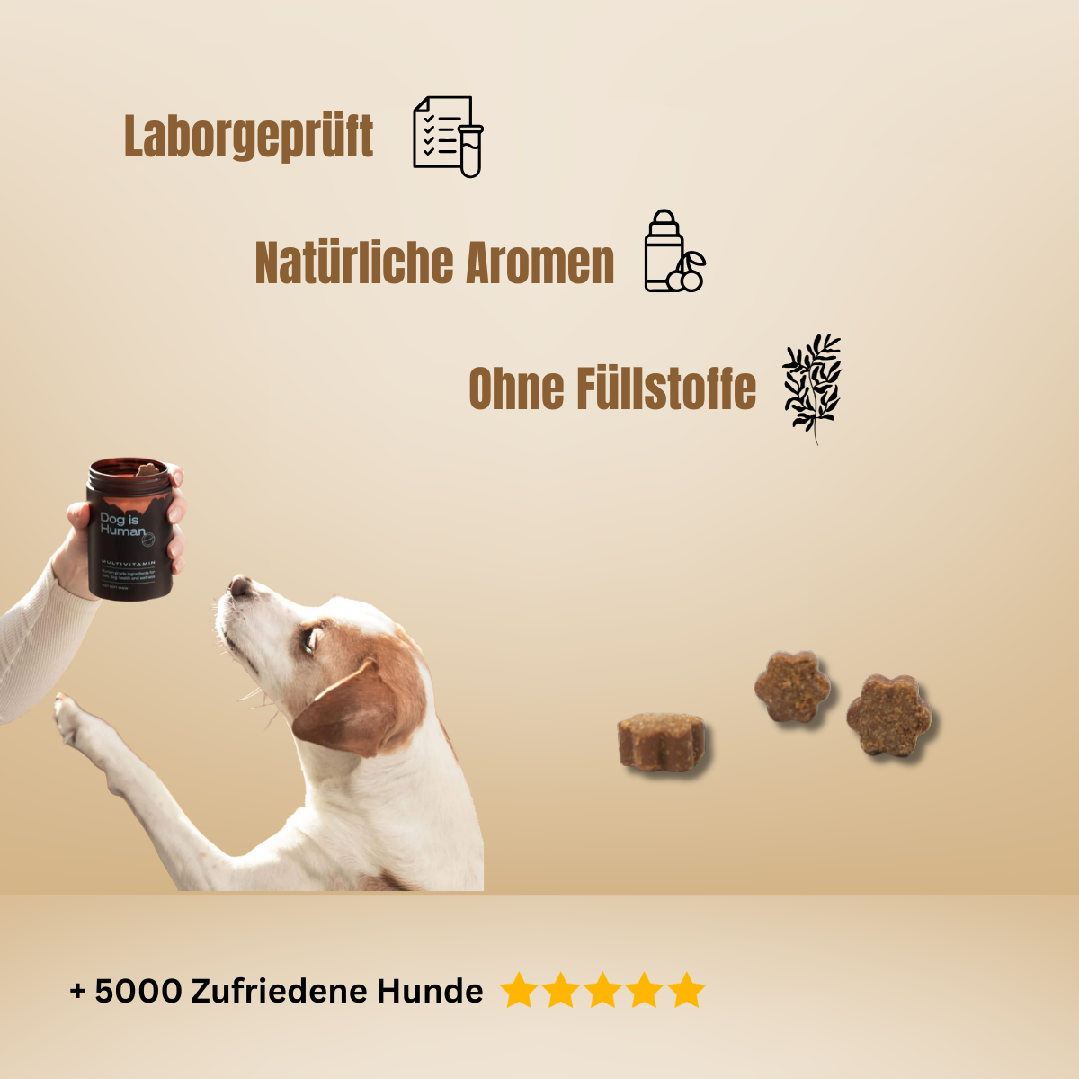 Dog is Human / Multivitamin